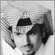 راعي الطير