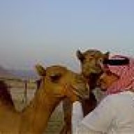 لاحق المطرفي