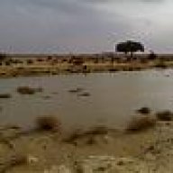 عاشق وشق