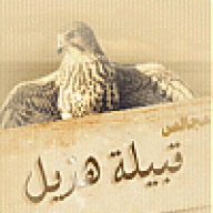 عبدالرحمن المسعودي