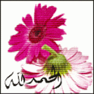 يجب تغيير المعررف33
