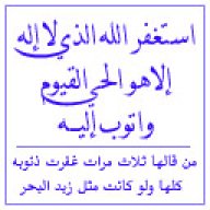 صدى الحق