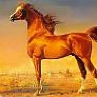 خـالـد الهذلي