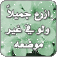 شيوخ العز
