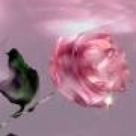 أميرة الأحلام