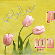 ريم البوادي
