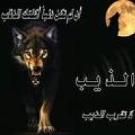 قصتي بالليل تكتبها النجوم