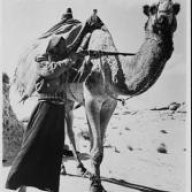 ابو وسام السعيدي