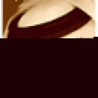 صقـرهـذيـــل