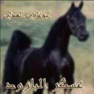 هذيل وادي نخله