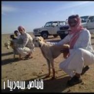 قناص مكه