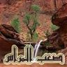 صعب المراس