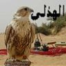 ماهر الهذلي