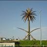 القهدي الهارب