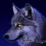 ذيب الفيافي