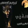 الراسي
