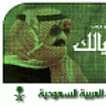 ماجد الدعدي