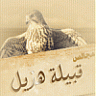 عبدالرحمن المسعودي