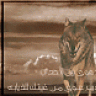 صقر القارحي