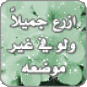 شيوخ العز