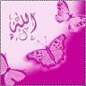 عفة هذيل
