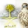 قرناس كبكب