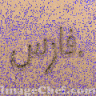 فـارس هذيل