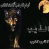 قصتي بالليل تكتبها النجوم