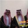 الضرغام اليافع