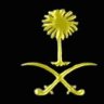 وليد الطلحي