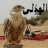 ماهر الهذلي