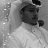 صـــقـــر الـــهـــذلـــي