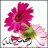 يجب تغيير المعررف33