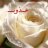 عـــذوبـــ