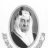 سلمان الندوي