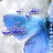 غلا هذيل