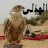 عبدالله المحسني