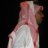 حسن مضيف الطلحي