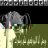 اْحمد الندوي