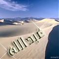 الصورة الرمزية عبداللة