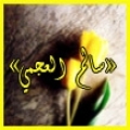 الصورة الرمزية سالم العجمي