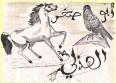 الصورة الرمزية ابو صخر