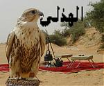 الصورة الرمزية عبدالله المحسني