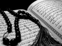 الصورة الرمزية صقر القبليه