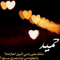 الصورة الرمزية ابو غلا السالمي